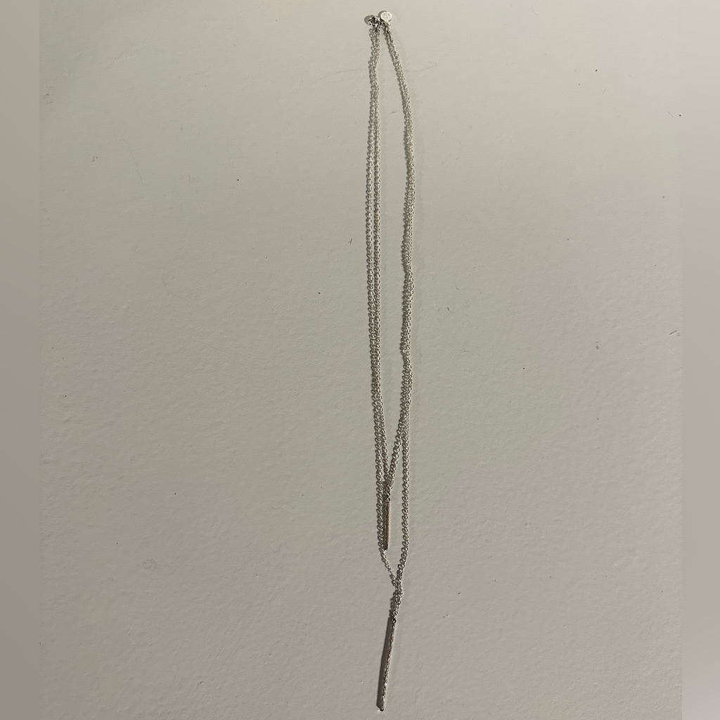 Double Layered Silver Necklace